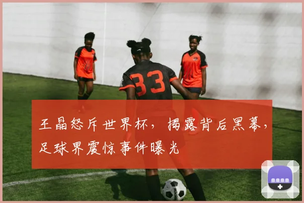 王晶怒斥世界杯，揭露背后黑幕，足球界震惊事件曝光