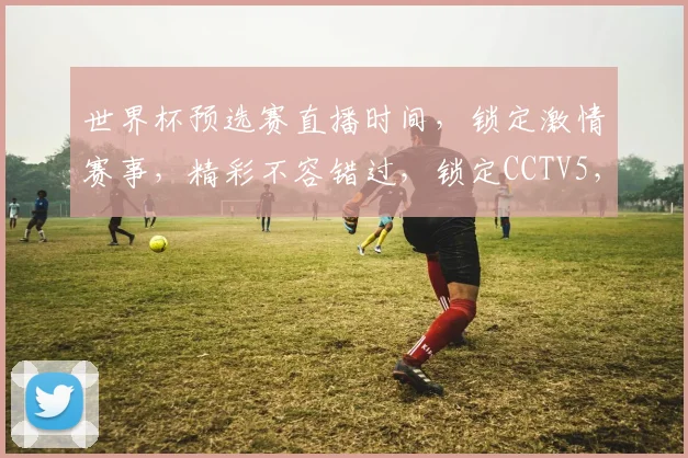 世界杯预选赛直播时间，锁定激情赛事，精彩不容错过，锁定CCTV5，共赴足球盛宴