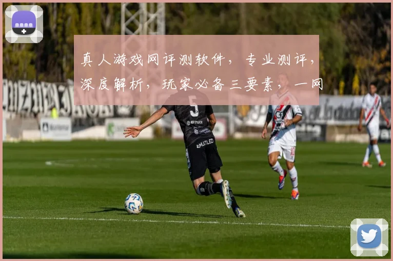 真人游戏网评测软件，专业测评，深度解析，玩家必备三要素，一网打尽
