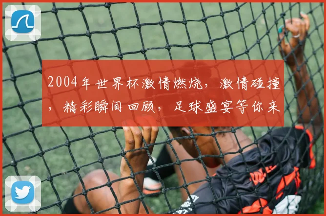 2004年世界杯激情燃烧，激情碰撞，精彩瞬间回顾，足球盛宴等你来