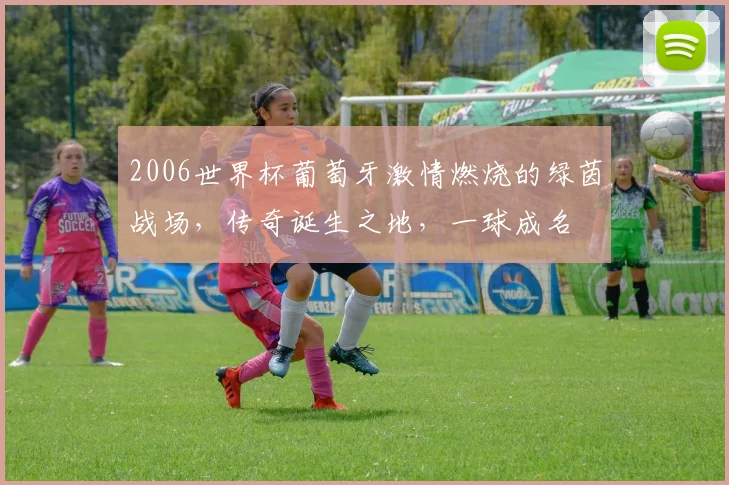 2006世界杯葡萄牙激情燃烧的绿茵战场，传奇诞生之地，一球成名