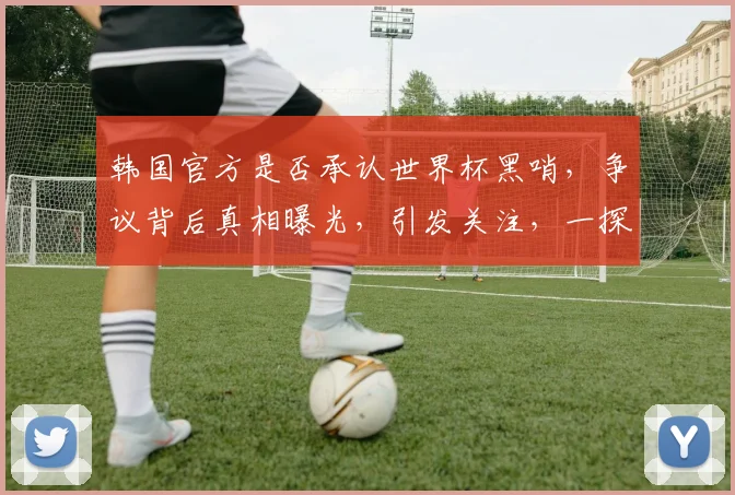 韩国官方是否承认世界杯黑哨，争议背后真相曝光，引发关注，一探究竟