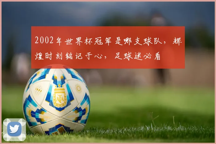 2002年世界杯冠军是哪支球队，辉煌时刻铭记于心，足球迷必看
